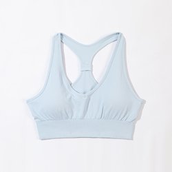 Bra-light-blue