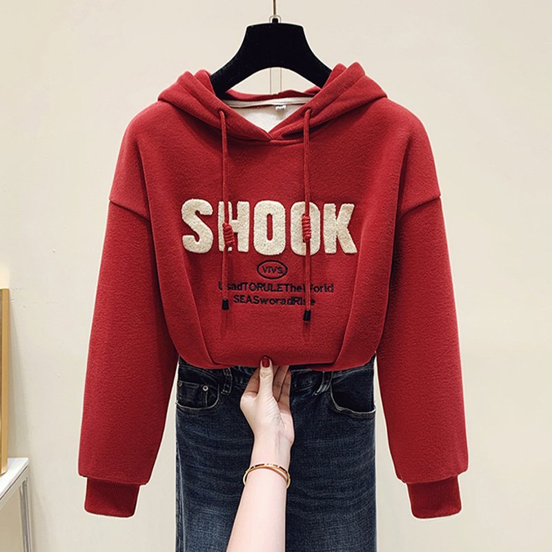 Custom wholesale Oversized hoodi sweatshirts set luxury designer Towel Embroidery crop women puff print hoodies manufacturer