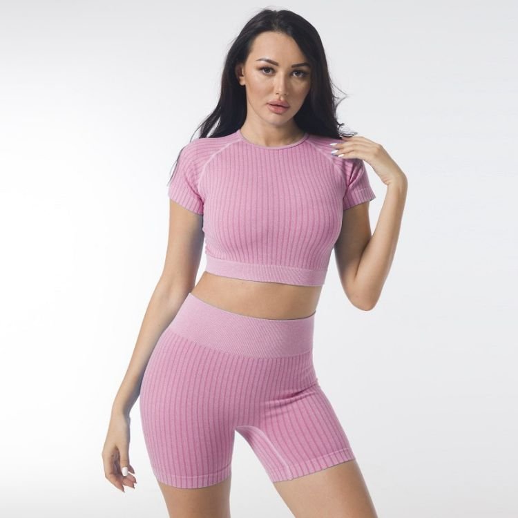 Women's Sport Ribbed Seamless Crop Top Plain Solid Stripe Knit Fringe Athleisure Short sleeve Crop Top With Pink Short Leggings