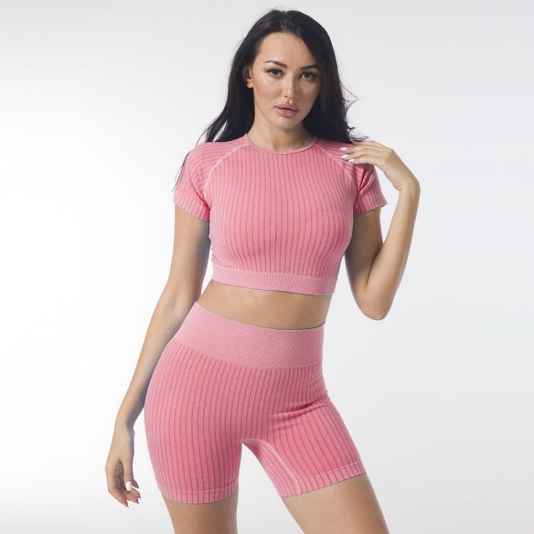 Women's Sport Ribbed Seamless Crop Top Plain Solid Stripe Knit Fringe Athleisure Short sleeve Crop Top With Pink Short Leggings