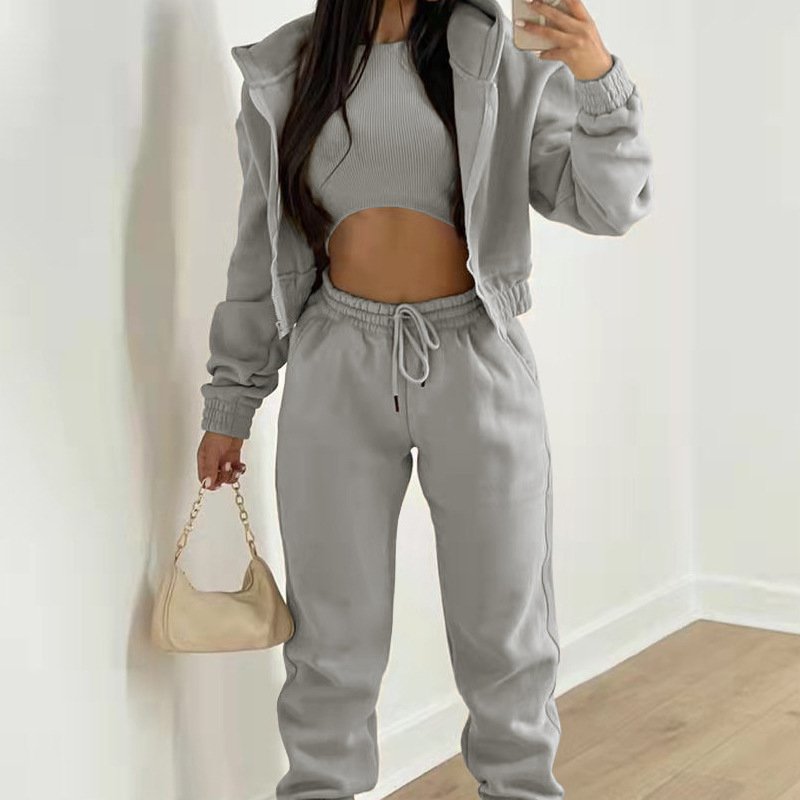 Manufacturer Autumn Custom Embroidery Logo Blank Plain Tracksuits Outfits Sports Streetwear 2 Piece Plus Size Plush Women'S Sets