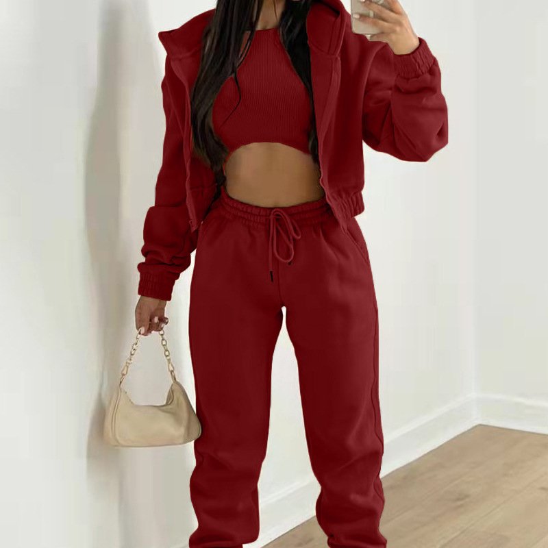 Manufacturer Autumn Custom Embroidery Logo Blank Plain Tracksuits Outfits Sports Streetwear 2 Piece Plus Size Plush Women'S Sets