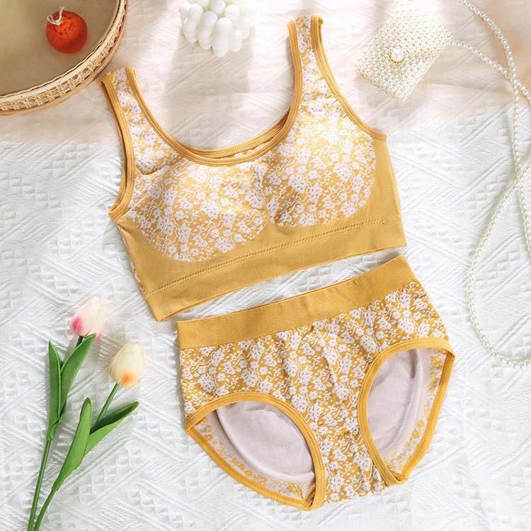 Best Quality Comfortable Full Cup Seamless Bra Set with Wide Strap Lift Fashion Women's Ensemble and Tube Underwear