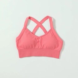 Bra3