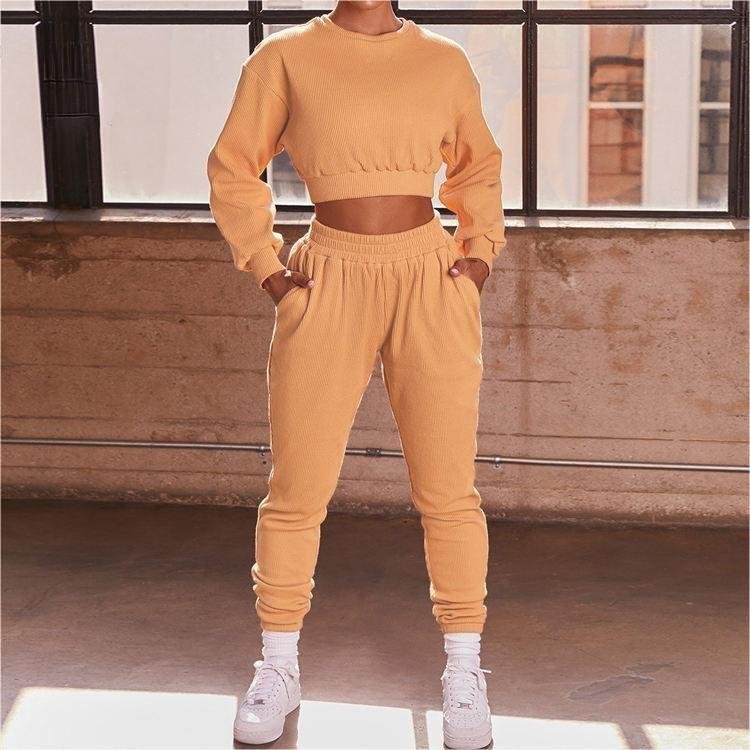OEVE Custom Gym Fitness Yoga Sets For Women Crew Neck Long Sleeve 2 Piece Workout Clothing Activewear Women Gym Fitness Sets