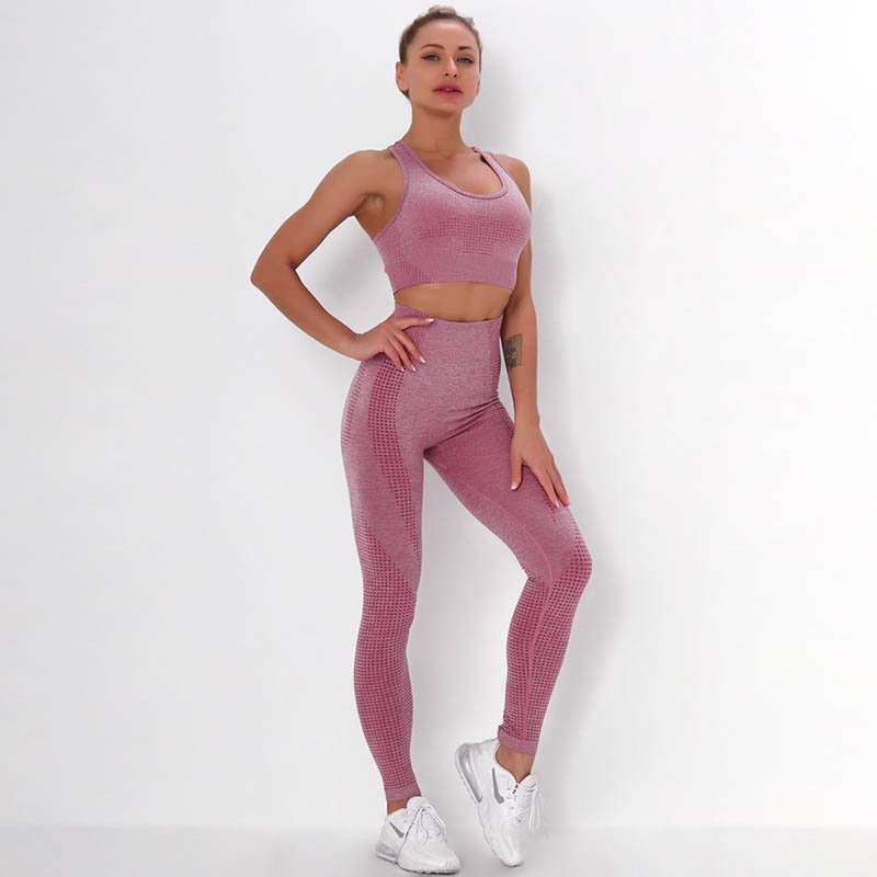 Factory Wholesale Two Piece Set Quick Dry Women's Best Bra Panty And Bra pants Sports Yoga Set