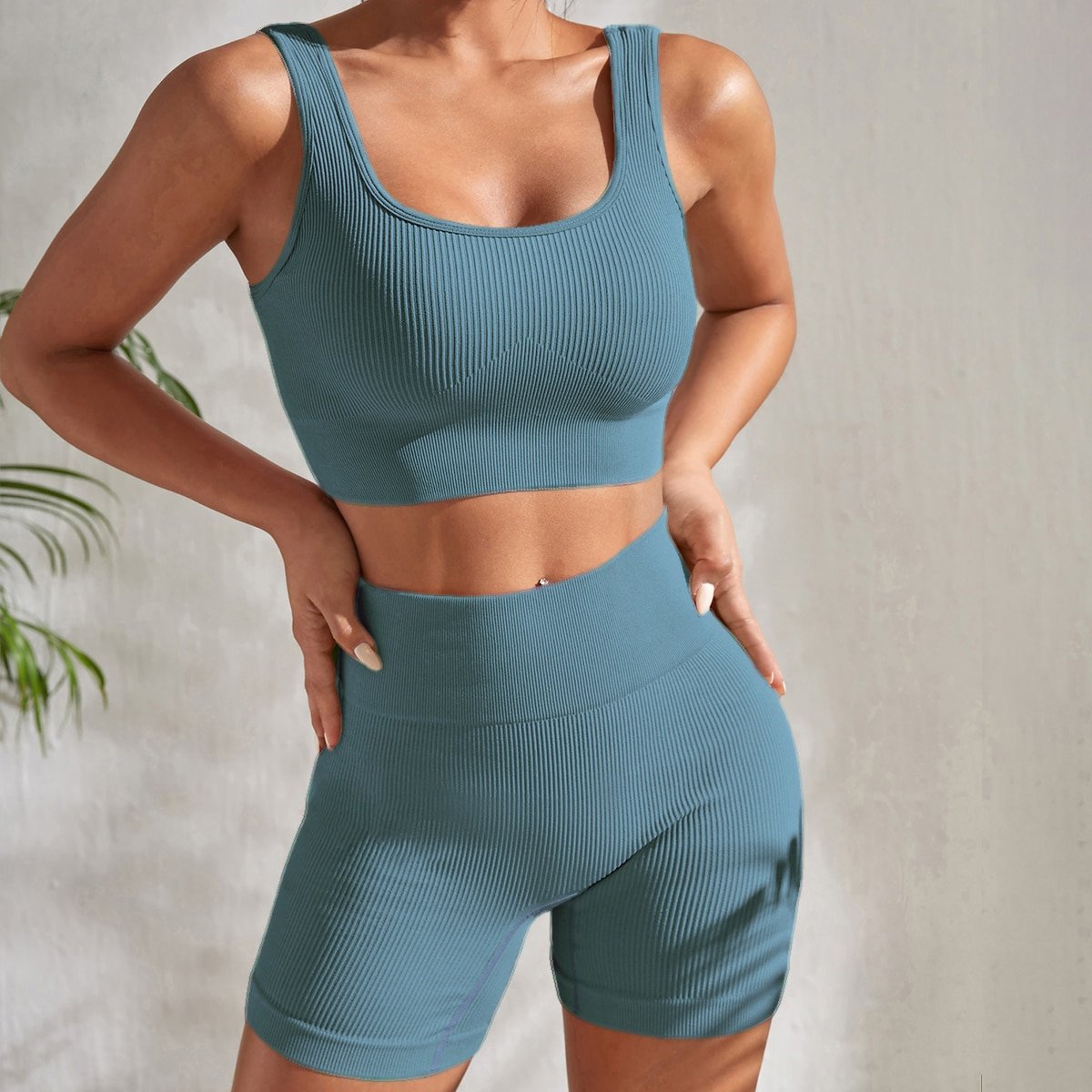 Custom Design 2-Piece Seamless Yoga Workout Set Quick-Drying Ribbed Crop Tank & High Waist Shorts Women Fitness Sets