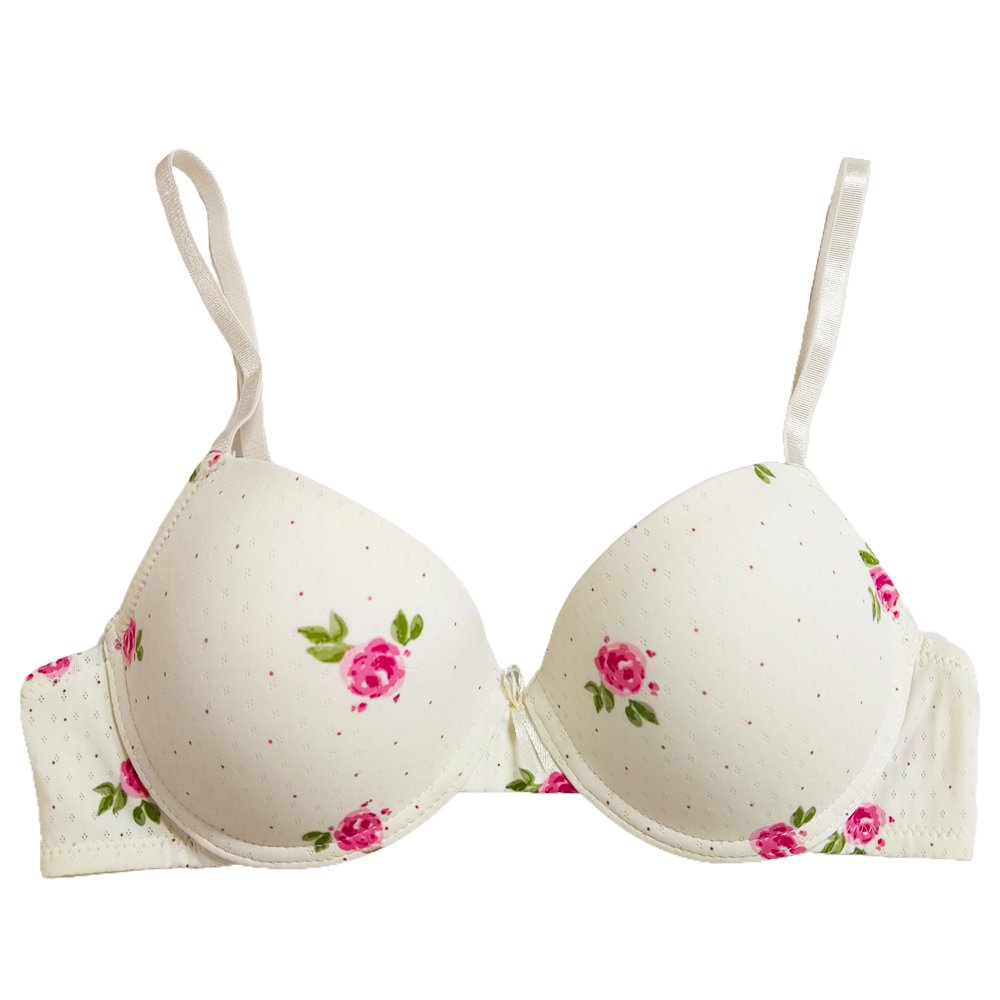 Guaranteed Quality Unique Everyday Ladies Bra And Panties Briefs Set Comfortable Nylon Women'S Floral Print Bra Set