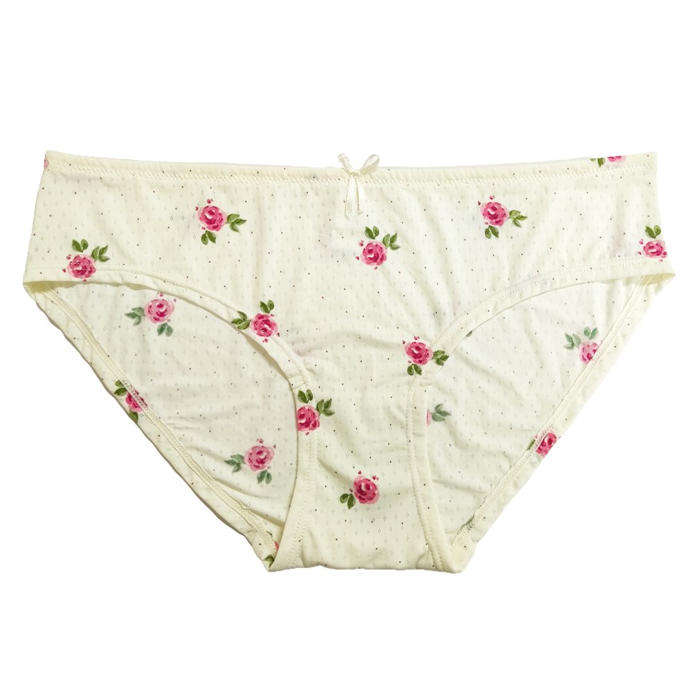 Guaranteed Quality Unique Everyday Ladies Bra And Panties Briefs Set Comfortable Nylon Women'S Floral Print Bra Set