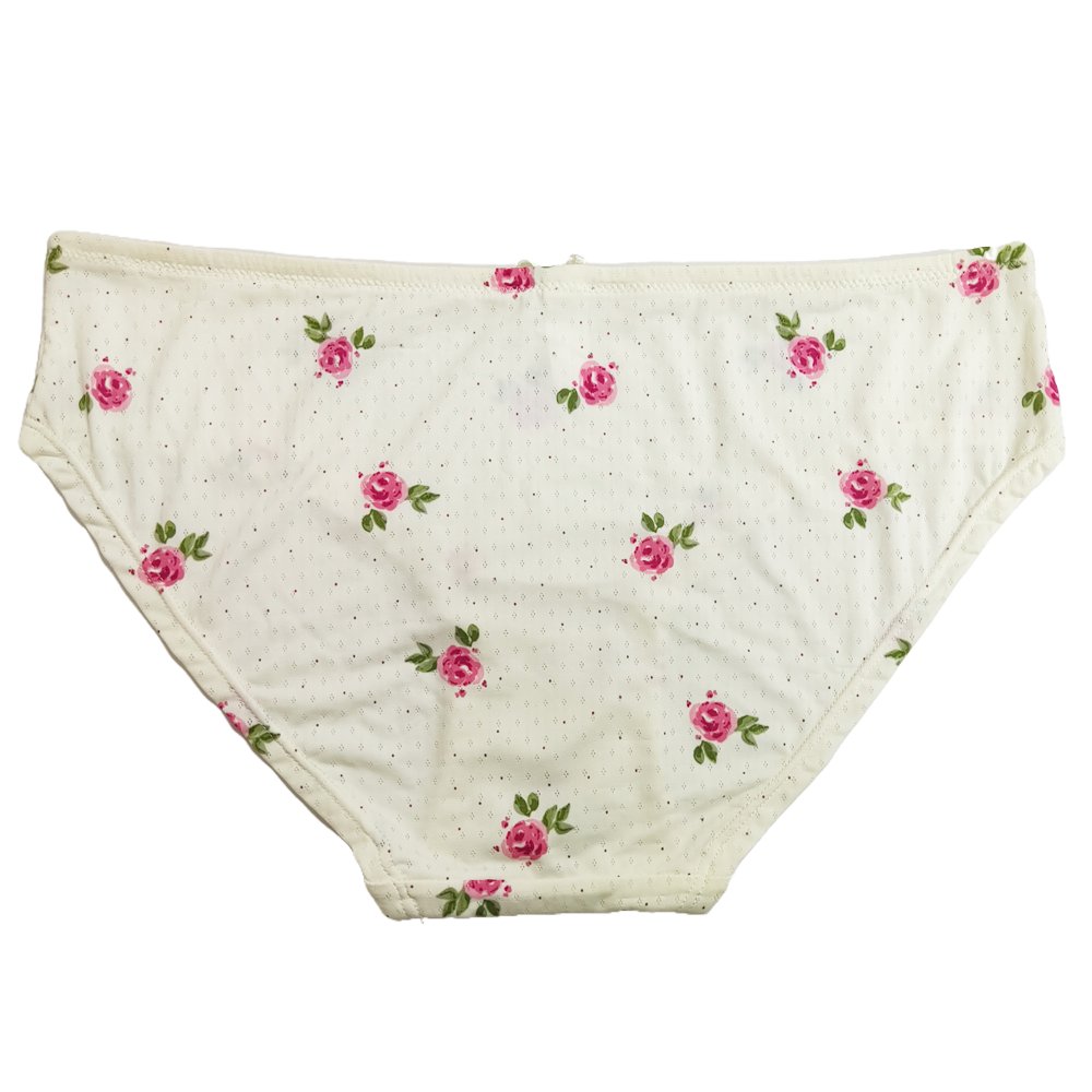 Guaranteed Quality Unique Everyday Ladies Bra And Panties Briefs Set Comfortable Nylon Women'S Floral Print Bra Set
