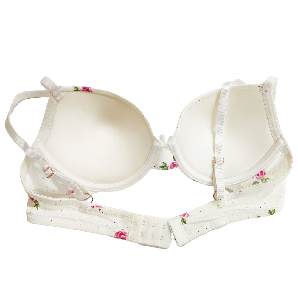 Guaranteed Quality Unique Everyday Ladies Bra And Panties Briefs Set Comfortable Nylon Women'S Floral Print Bra Set