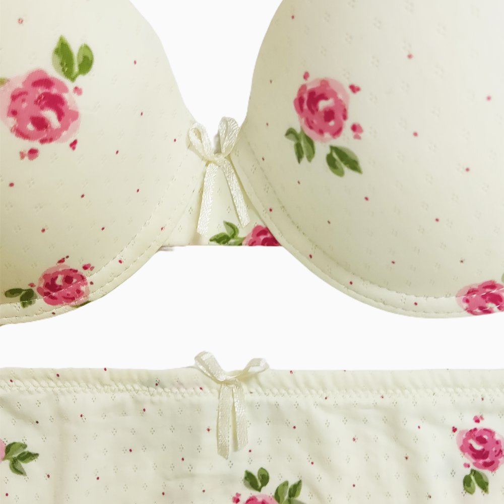 Guaranteed Quality Unique Everyday Ladies Bra And Panties Briefs Set Comfortable Nylon Women'S Floral Print Bra Set