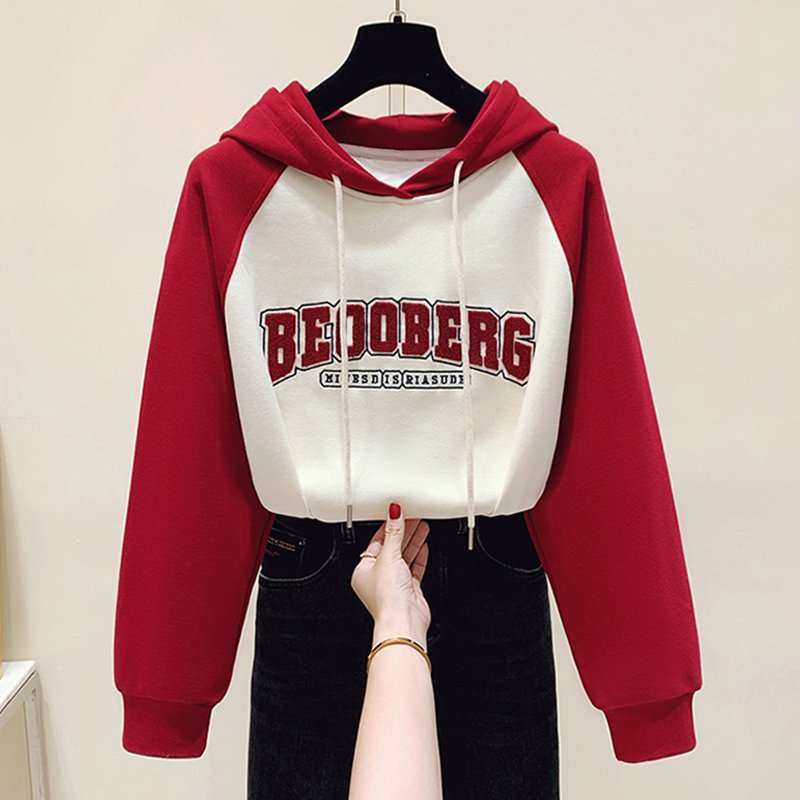 custom wholesale hoodi high quality 100% cotton plain cropped puff print hoodies set and sweatshirt for women manufacturer