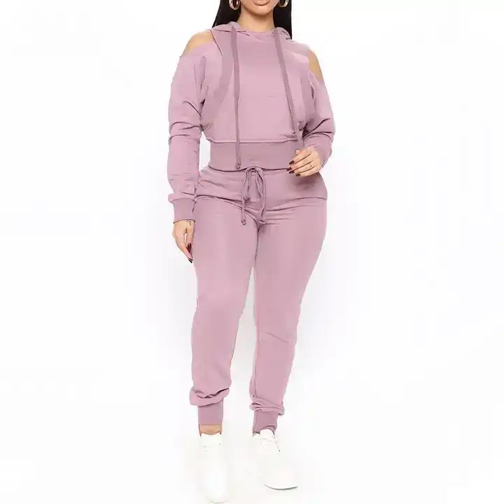 OEM Hot Sale Custom Thick Fleece Wholesale Women Clothing Sweatpants Hoodie Jogger Sets Plain Blank Sweatsuit Set Tracksuit