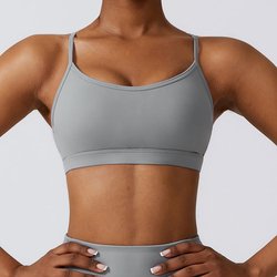 Bra-grey