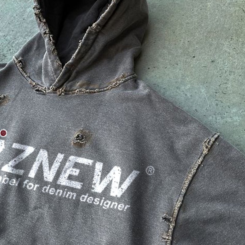 DiZNEW OEM Manufacturers men's Hoodies Wholesale casual baggy cotton hoodies MEN high quality