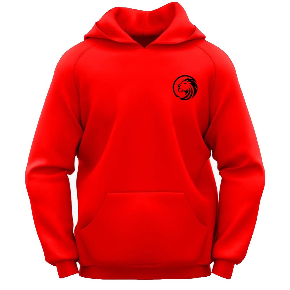 Pakistan manufacture cotton hooded pullover sweatshirt premium heavy fleece over sized custom men's hoodies