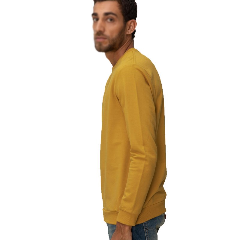 Pakistan Manufacturer Men's Clothing Custom Brand Logo Fleece Cotton Basic Men Pullover Thermal Sweatshirts