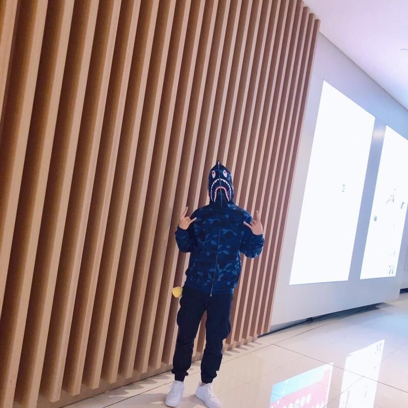 Men's Casual Bapees Shark Hoodie Full Zip Light Blue Pink Camouflage Cotton Sweatshirt Autumn Lined Hooded Hoodie for men