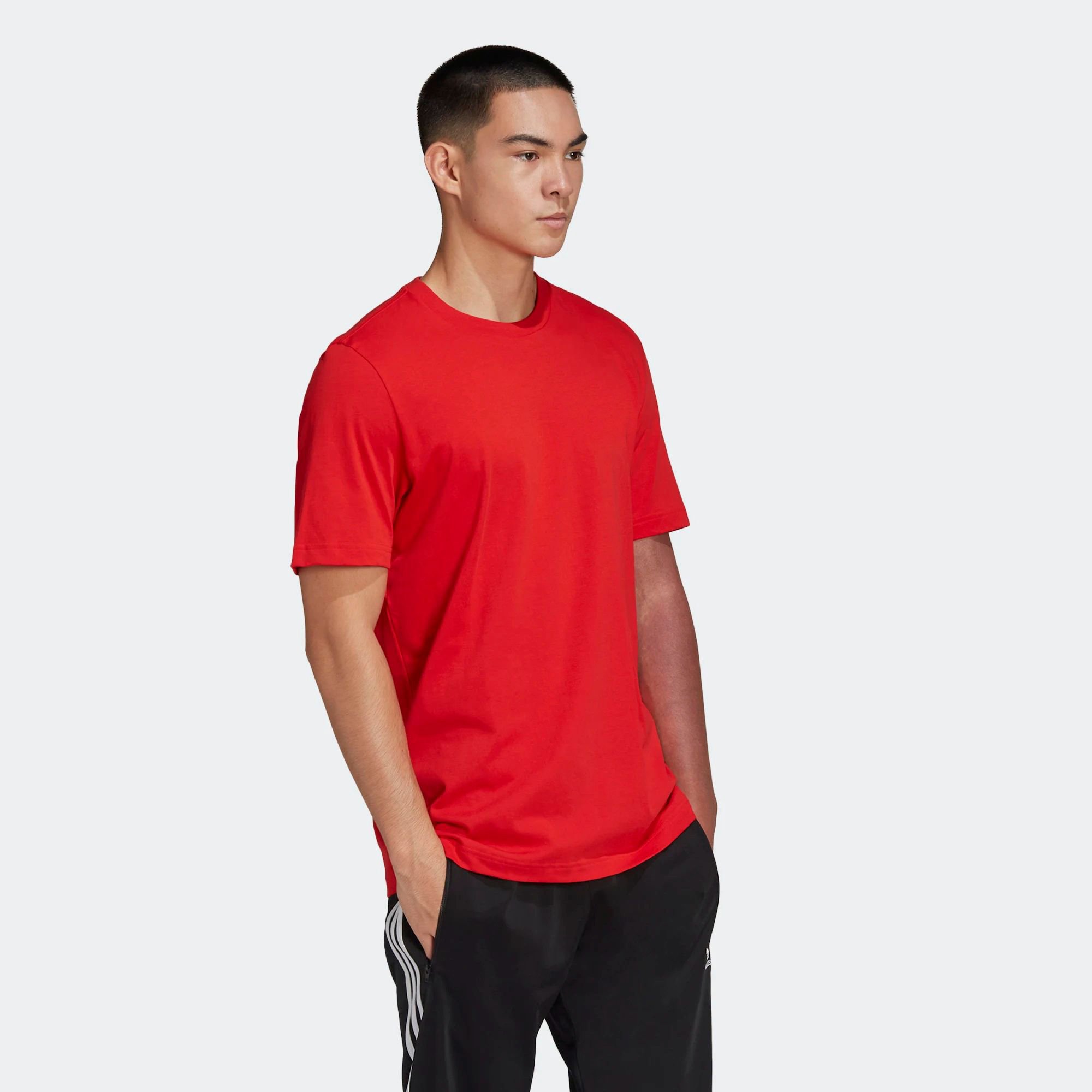 Vivid Red Men's Essentials T-Shirt - Regular Fit, Ribbed Crewneck, 100% Cotton Single Jersey, Short Sleeves