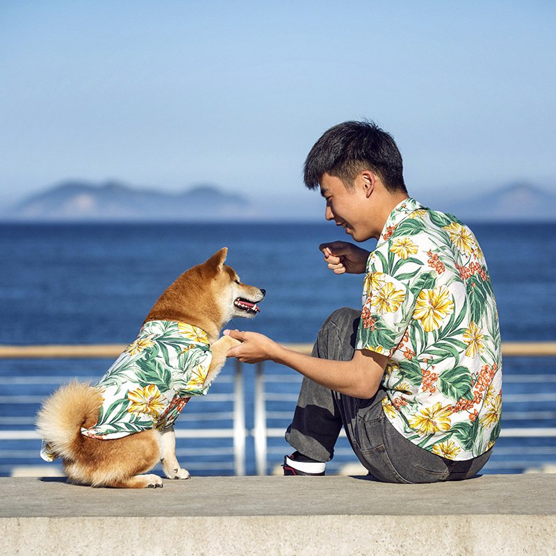 OEM ODM Factory low MOQ to custom logo Matching Dog And Owner T shirt Pet Clothes dog man t shirt women's clothing sets