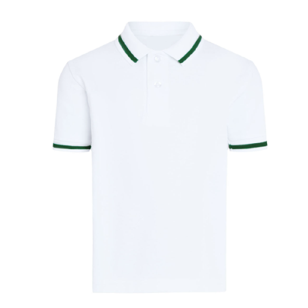 Top Quality & Low Price Factory Manufacturer Plain Color T shirt Polo Men's T-shirts 100% Cotton Casual Polo T-shirts