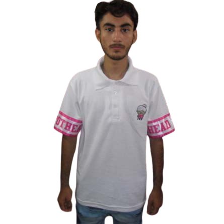 100% Cotton Men's Blank Golf Polo T Shirts Embroidered Logo Plain Short Sleeve Casual Polo Shirts
