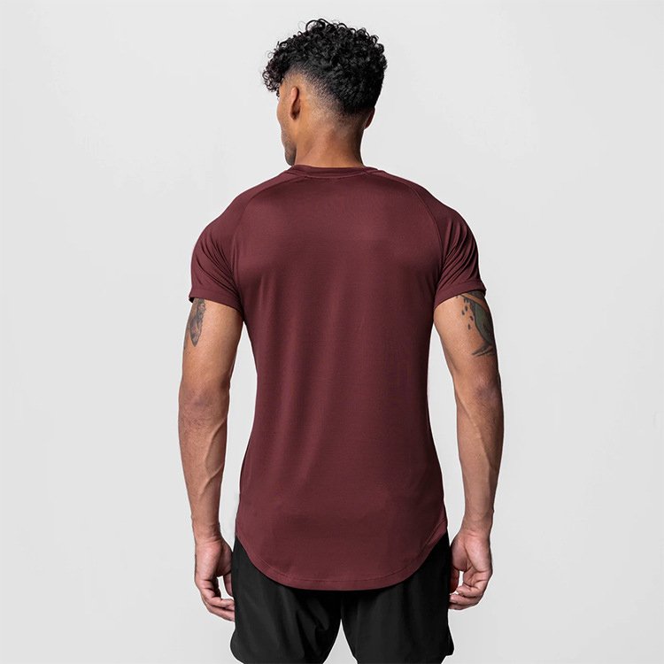 Wholesale custom summer high quality 95%cotton training&jogging wear quick dry breathable sport men's t shirt
