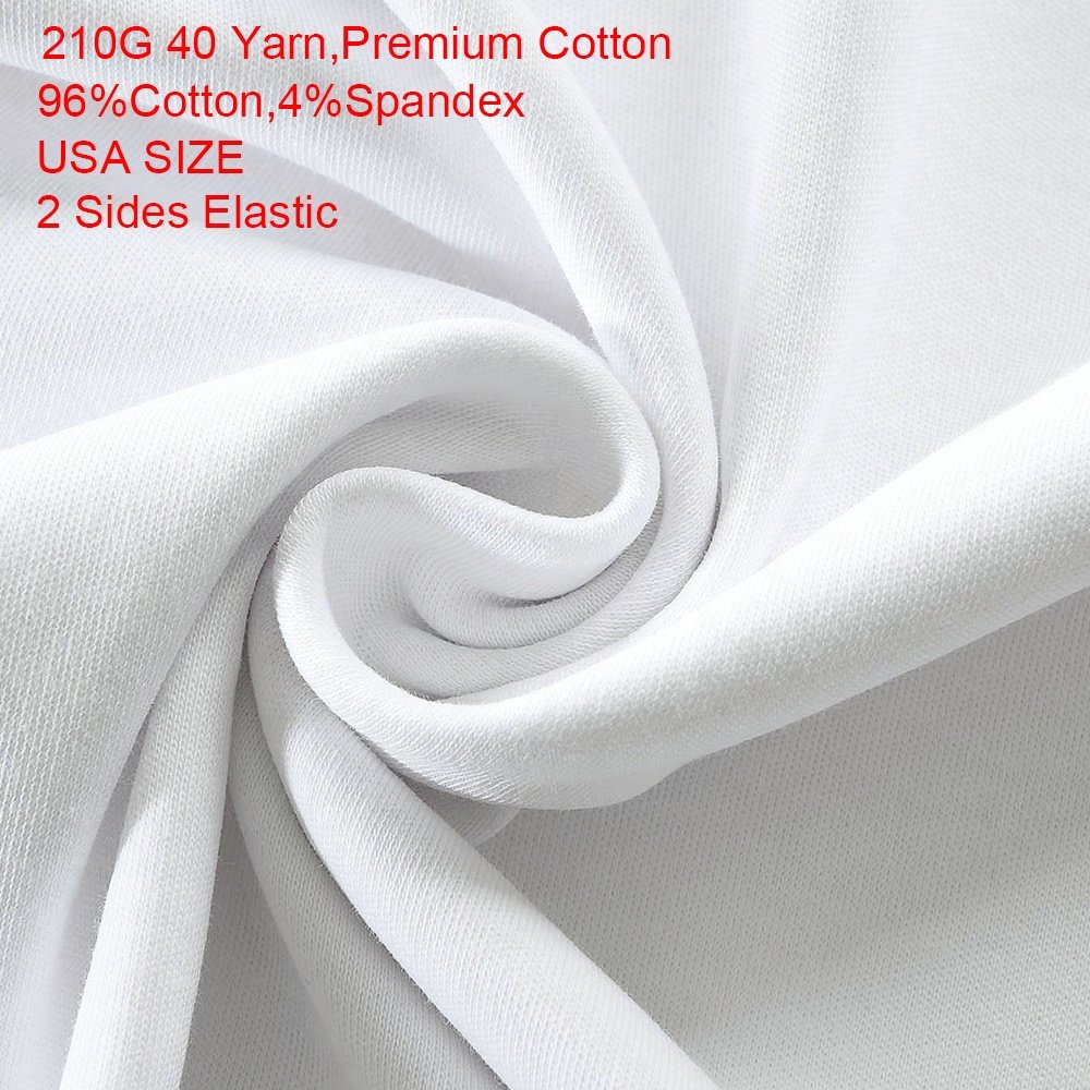 Premium Cotton Standard USA Size Oversized Tshirt Plus Size Heavy Weight Tshirts Custom Logo Printed Customize Men's T-shirts