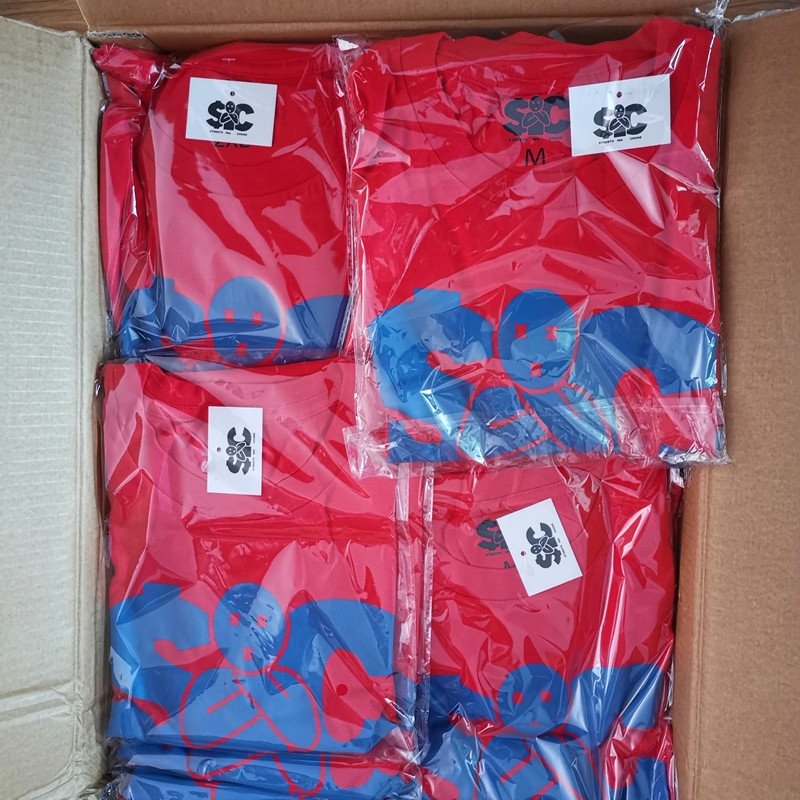 High Quality 100% cotton Summer Custom LOGO Print T-shirt Men's Blank Plain T Shirts Premium Cotton t shirt