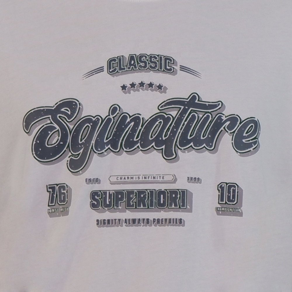 Custom printed high quality 100% cotton tshirt Crew collar letter printed casual loose men's T-shirt