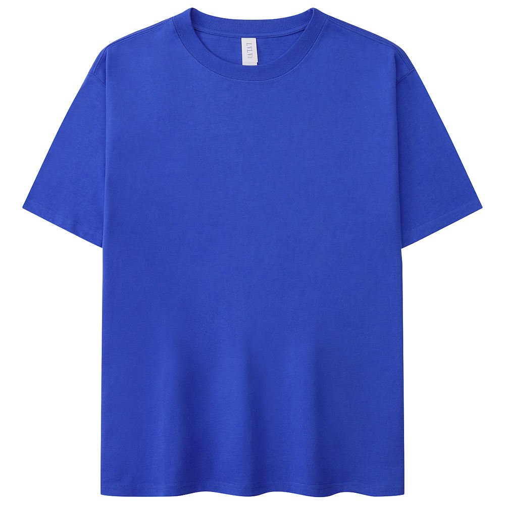 High Quality Heavyweight 250gsm 100% Cotton Oversized Blank T Shirt Custom Printed Embroidered Plain Tee plus size men's t shirt