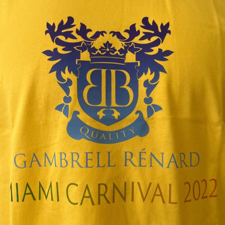T Shirt Manufactures Custom Logo Summer Camp Academy School Printed Adult Uniform White Cotton Tshirt Plus Size Men's T-shirts