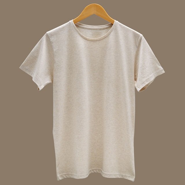 Latest Fashion cotton Plain Dyed Men's T Shirts Manufacturer
