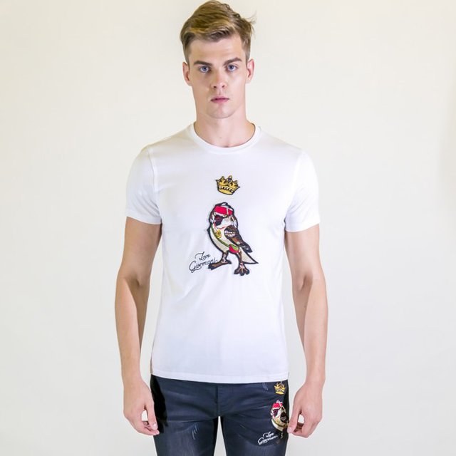 Odm Men's 250 Gsm Heavy Weight T Shirt Custom Design printing Blank 100% Cotton t-shirts Round Neck Tshirt mens tshirts
