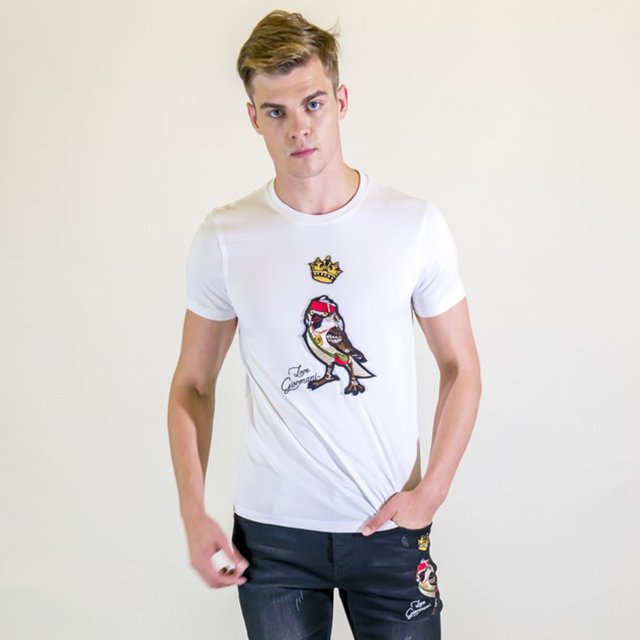 Odm Men's 250 Gsm Heavy Weight T Shirt Custom Design printing Blank 100% Cotton t-shirts Round Neck Tshirt mens tshirts