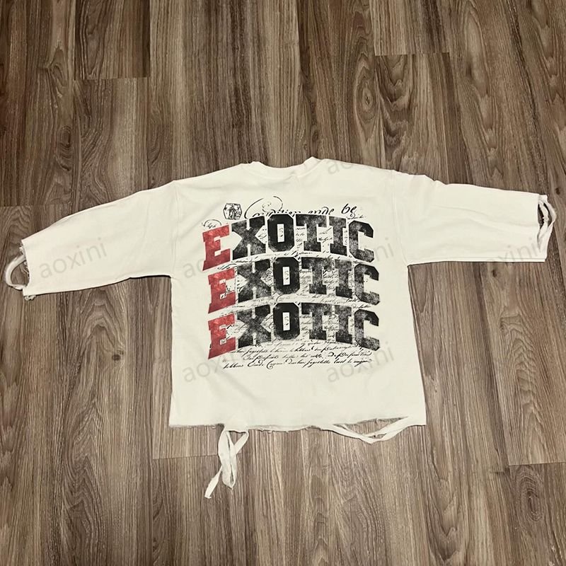 Street wear custom manufacturer cotton t shirt vintage oversized gaphic cropped tshirt double layer long sleeve men's t shirts