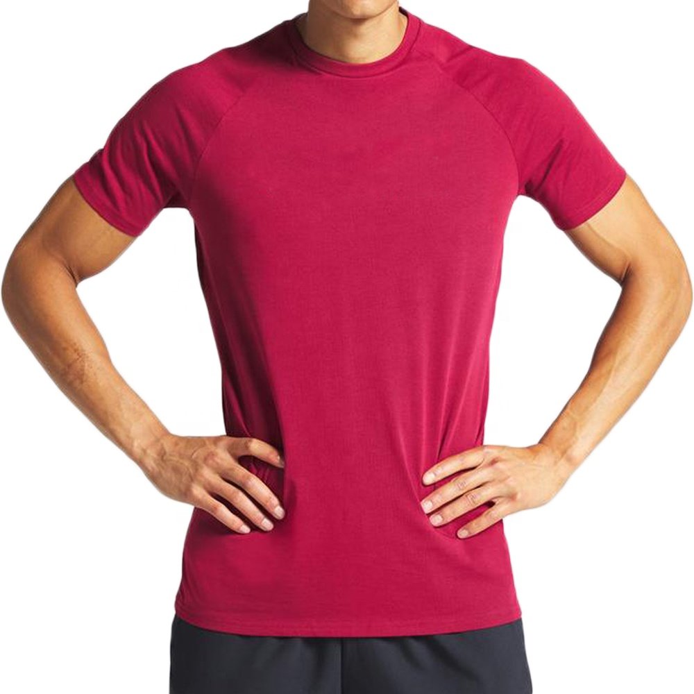 Wholesale ActiveWear Gym Male Jogger Running Quick Dry Sports T shirt Custom Print Fitness Workout Jogging Blank Men's T-shirt