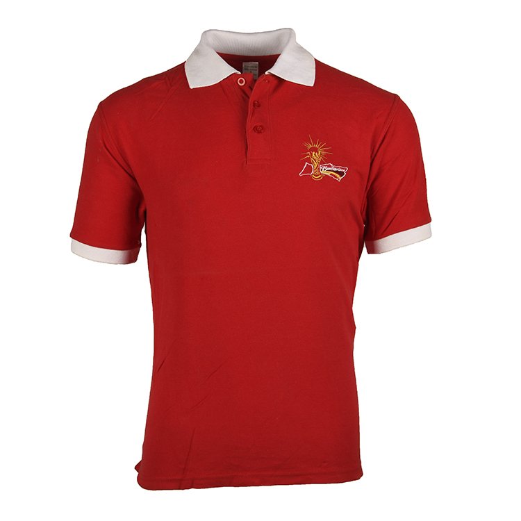 Custom Africa Polo Man Collar T Shirt 100% Cotton With Logo For Wholesale Clothing