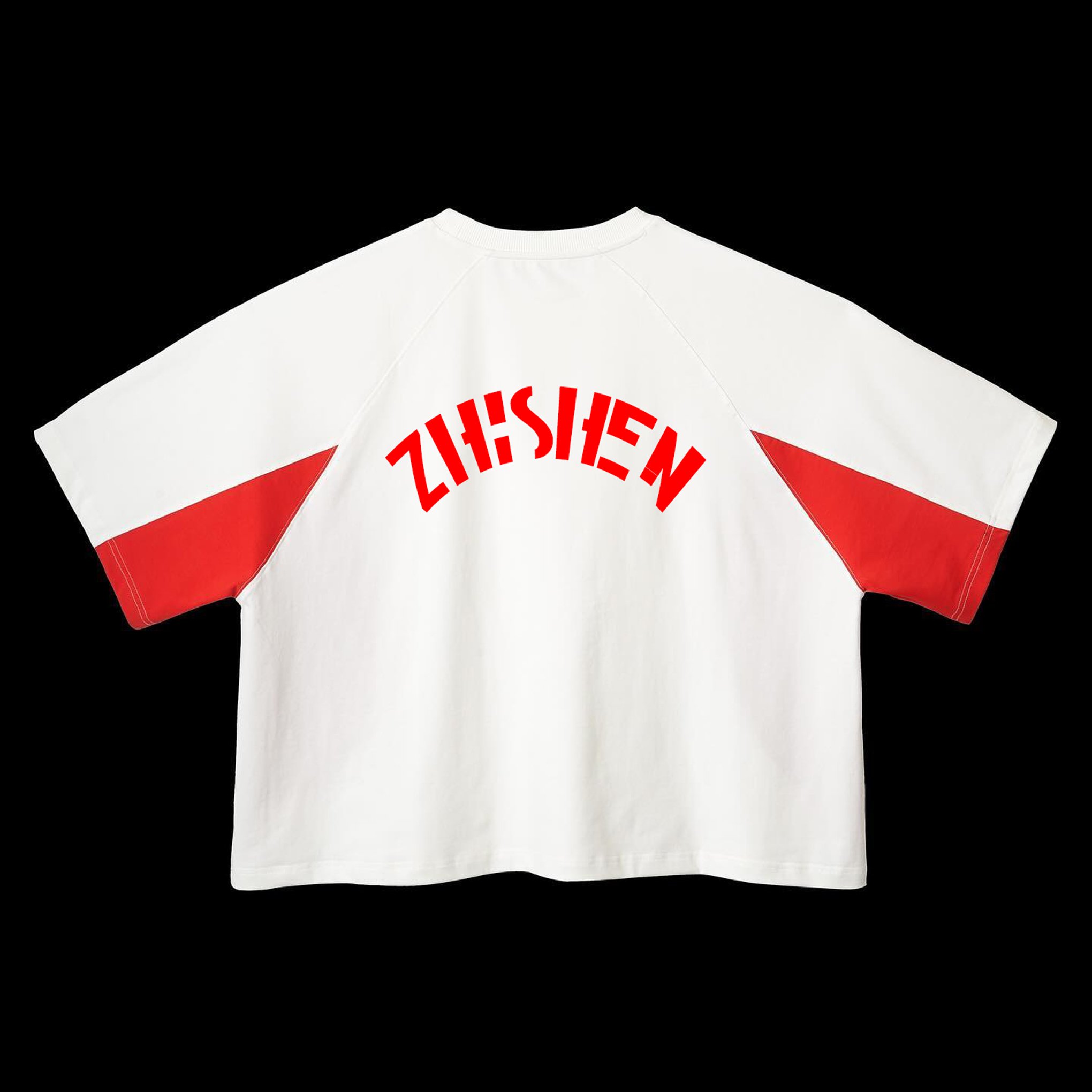 2024 High Quality Custom Printing Drop Shoulder 100% Cotton Plus Size Heavyweight Men's T-shirts Mens Tee T Shirts For Men
