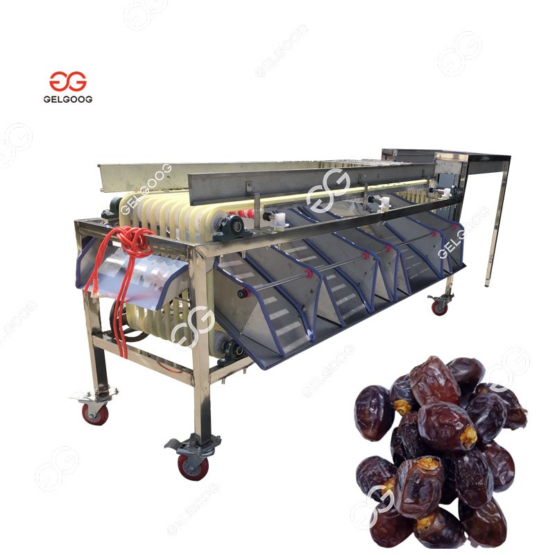 Industrial Fruit Sorting Equipment Palm Dates Drying Dicing Machine Dates Palm Brush Machine