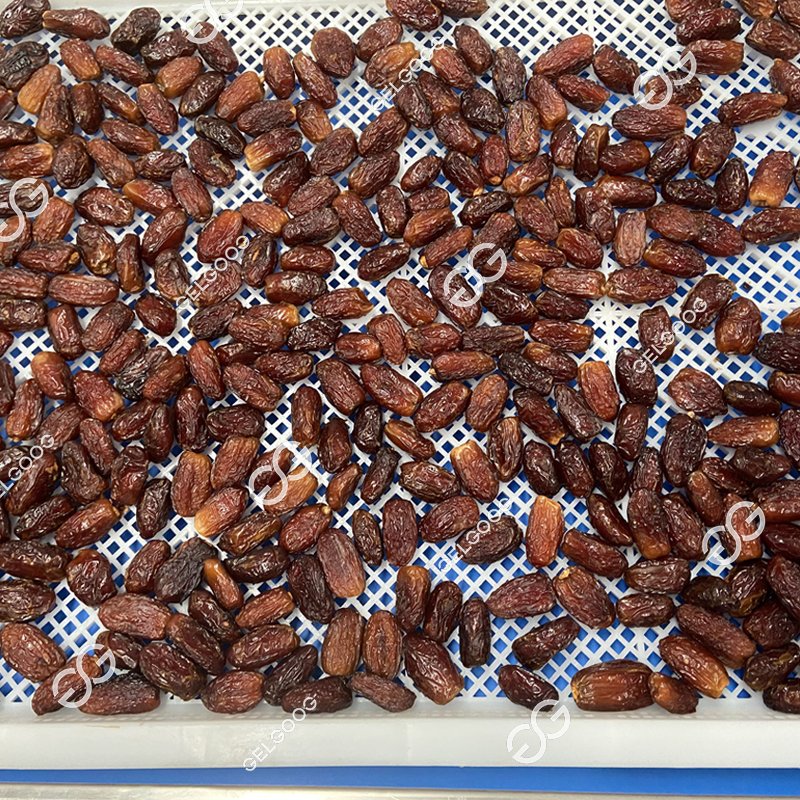 Industrial Fruit Sorting Equipment Palm Dates Drying Dicing Machine Dates Palm Brush Machine