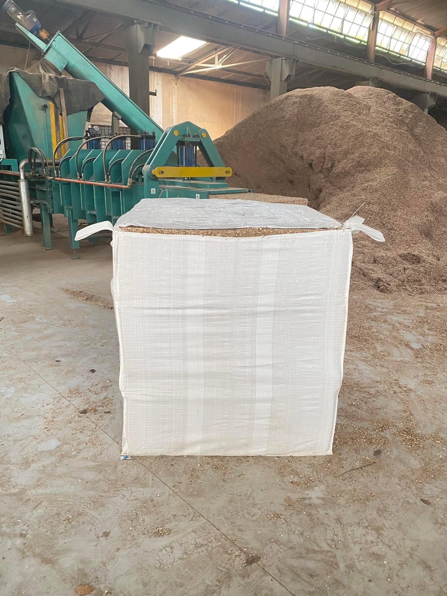 Shiitake mushroom cultivation material - sawdust powder, wood chips - Good price from Vietnam