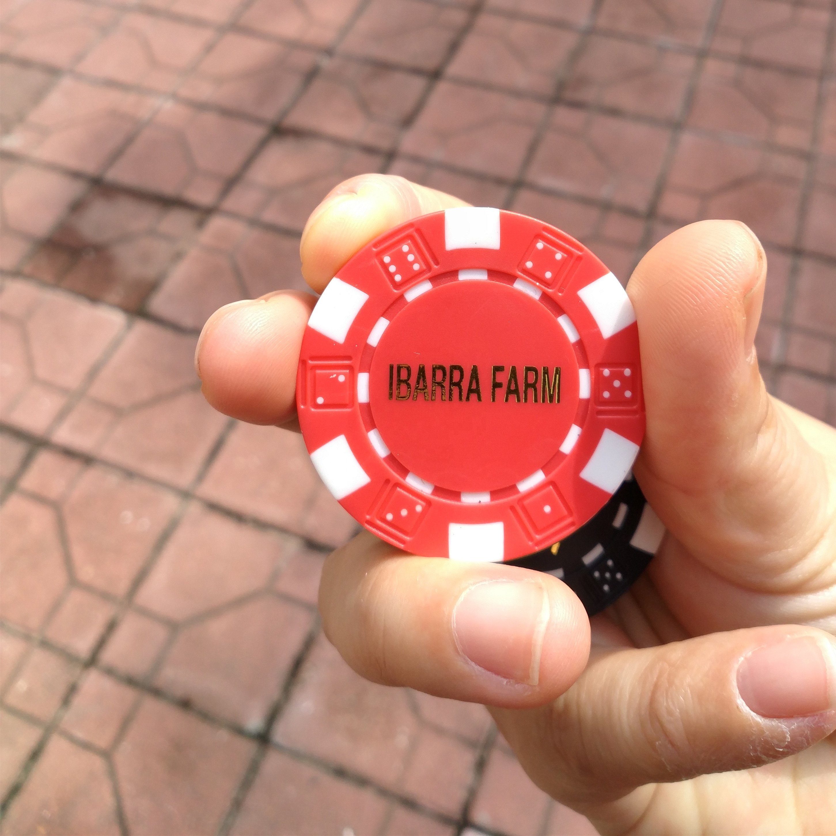 custom dice poker chip with GOLD COLOR hot stamping logo