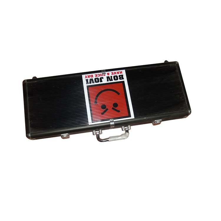 Fancy black 500 casino poker chip set