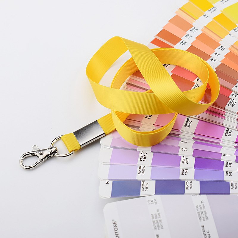 Black Nylon Lanyard And Id Badge Holder 2*43cm Custom Logo Polyester Lanyard