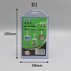 B1