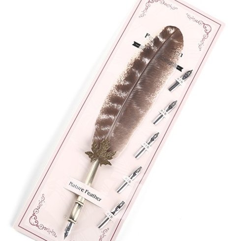 Real Natrual Vintage Craft Quill Calligraphy Feather Fountain Pen for Write Signature Gift Wedding Bridal Shower Party Supply