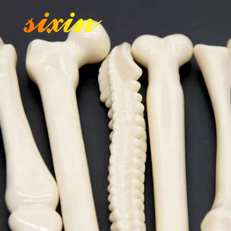 Novelty Bone Shape Pen Ball Pen for Souvenirs Promotional Bone Pen