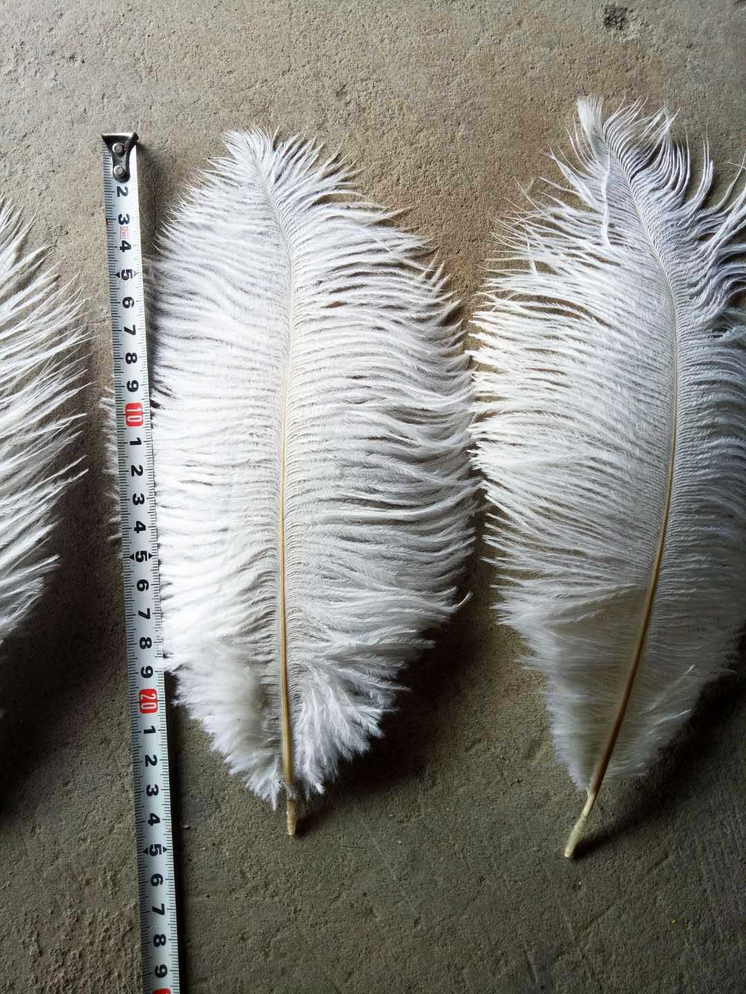 Natural ostrich feather ballpoint pen quill pen for gift